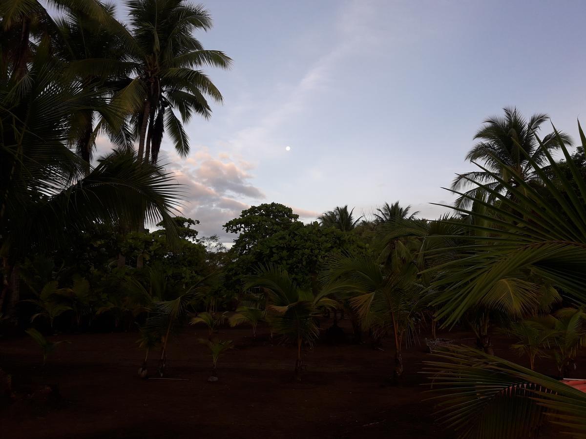 Hostal Pachamama Isla de Canas Ngoại thất bức ảnh