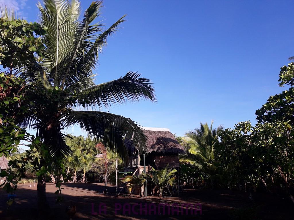 Hostal Pachamama Isla de Canas Ngoại thất bức ảnh
