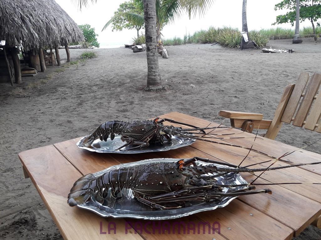 Hostal Pachamama Isla de Canas Ngoại thất bức ảnh