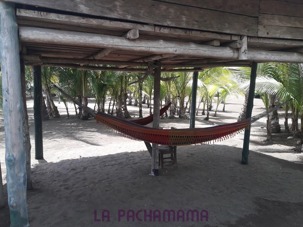 Hostal Pachamama Isla de Canas Ngoại thất bức ảnh