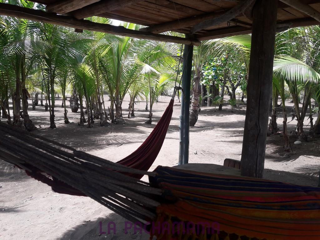 Hostal Pachamama Isla de Canas Ngoại thất bức ảnh