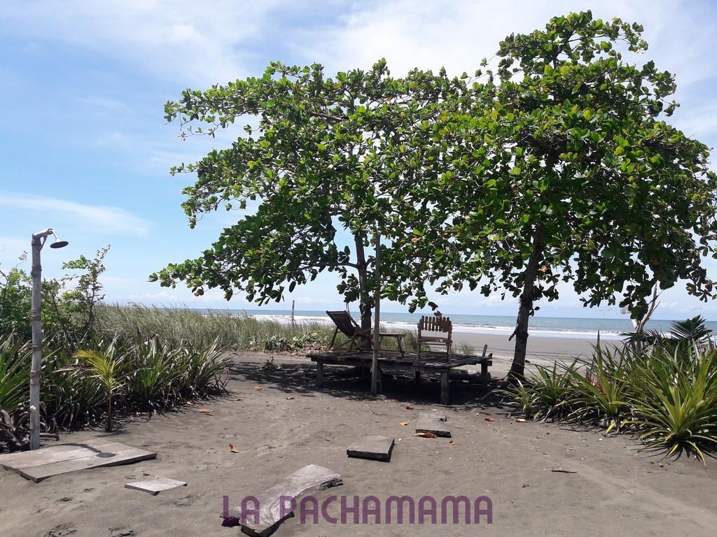 Hostal Pachamama Isla de Canas Ngoại thất bức ảnh
