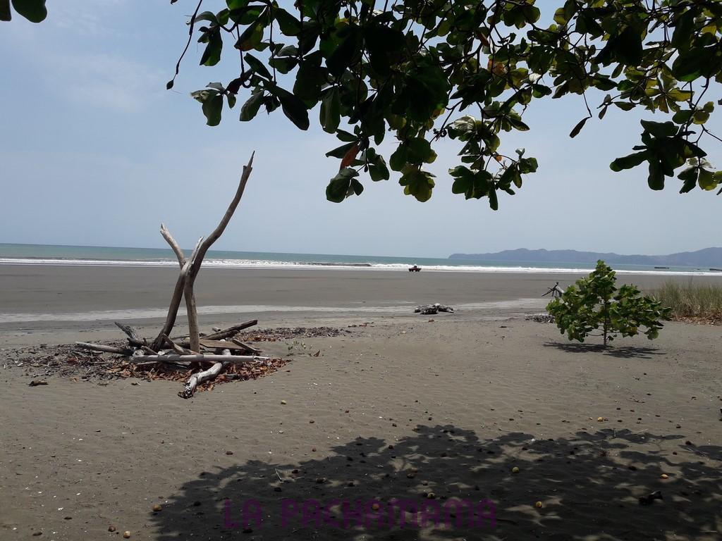 Hostal Pachamama Isla de Canas Ngoại thất bức ảnh