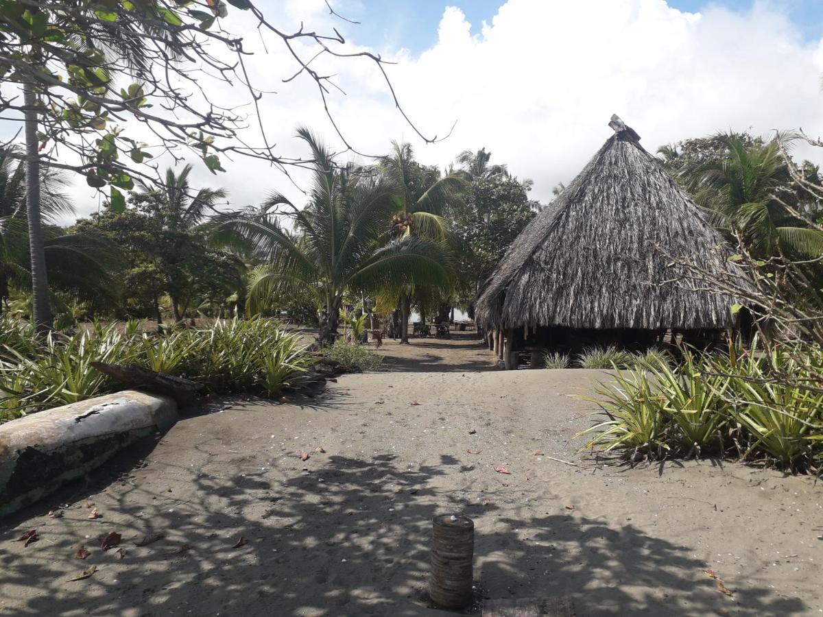 Hostal Pachamama Isla de Canas Ngoại thất bức ảnh