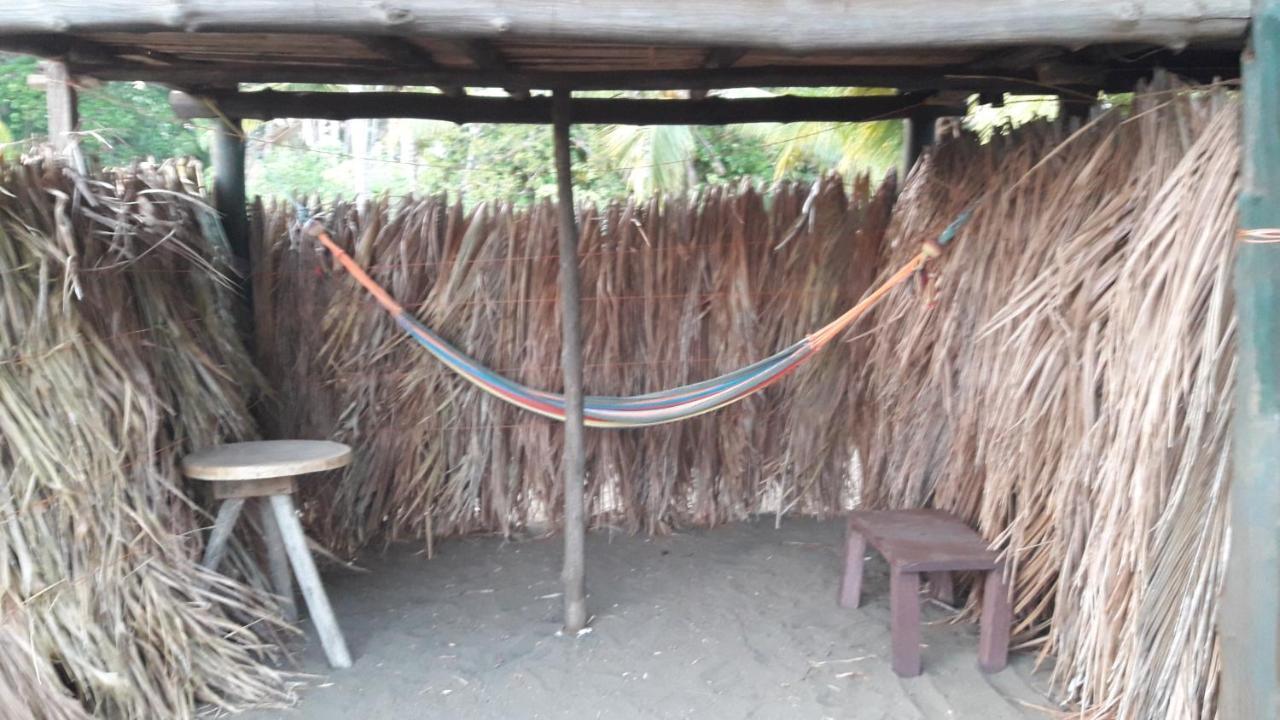Hostal Pachamama Isla de Canas Ngoại thất bức ảnh