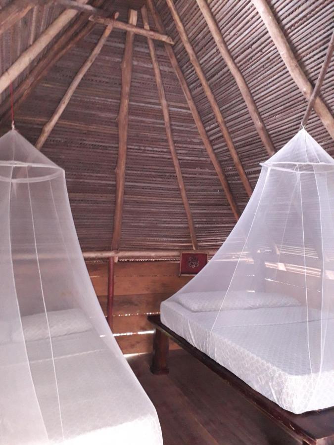 Hostal Pachamama Isla de Canas Ngoại thất bức ảnh