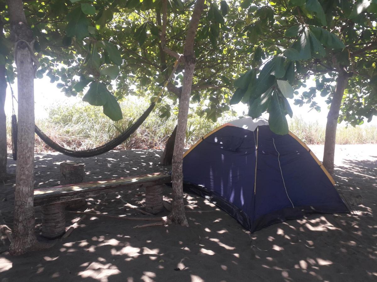 Hostal Pachamama Isla de Canas Ngoại thất bức ảnh